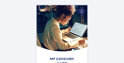 SAP 全面存取治理的五大原則